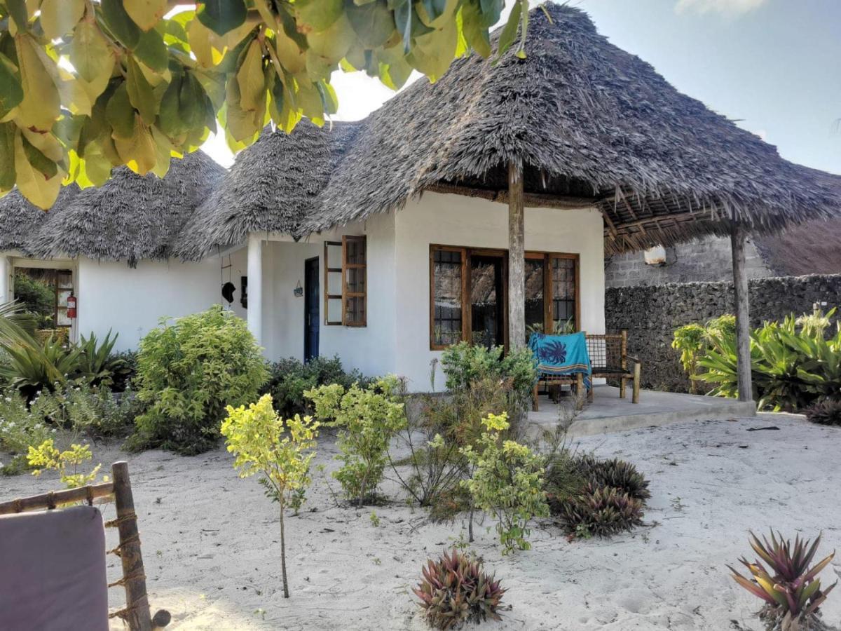 Driftwood Beach Lodge Jambiani  Exterior photo