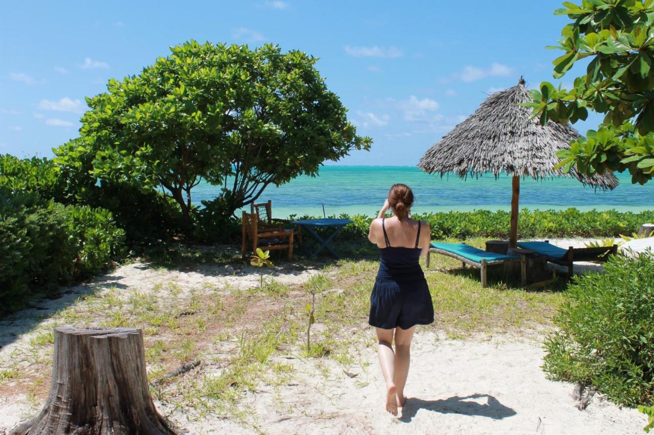 Driftwood Beach Lodge Jambiani  Exterior photo