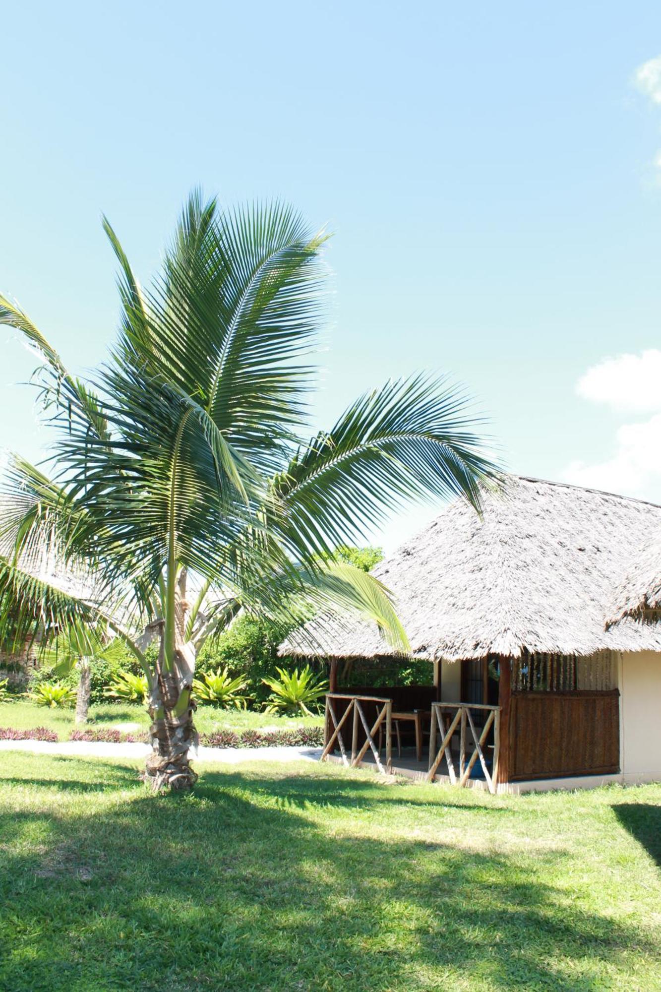 Driftwood Beach Lodge Jambiani  Exterior photo
