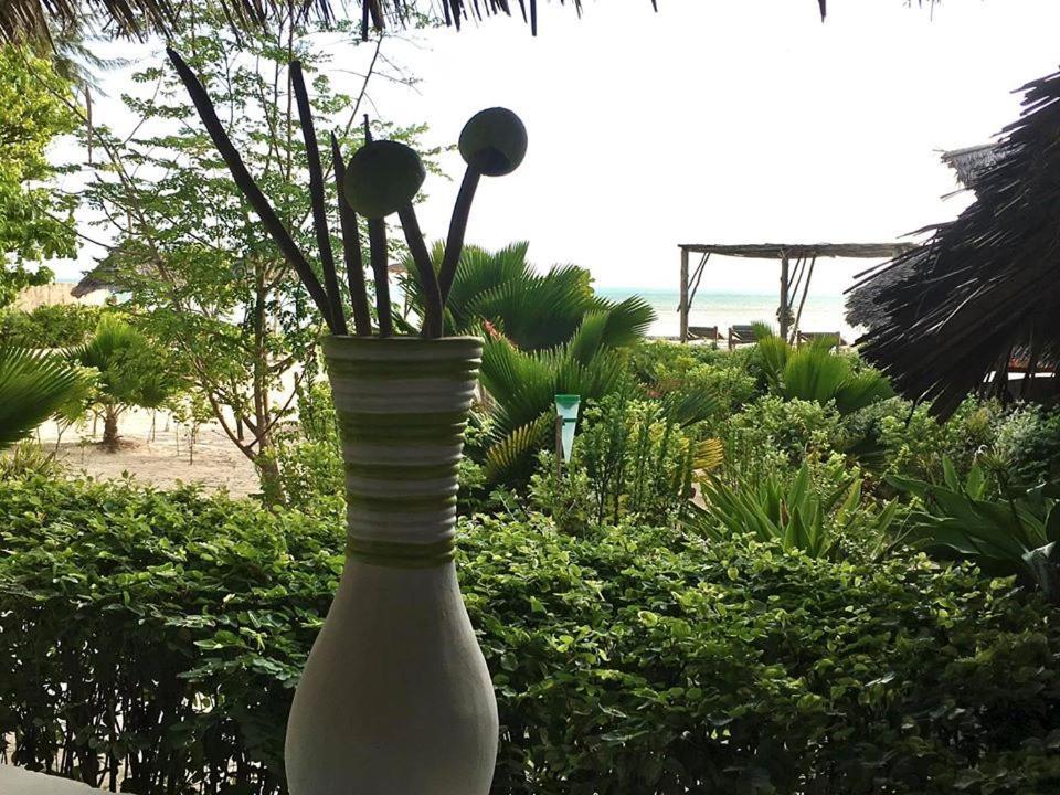 Driftwood Beach Lodge Jambiani  Exterior photo