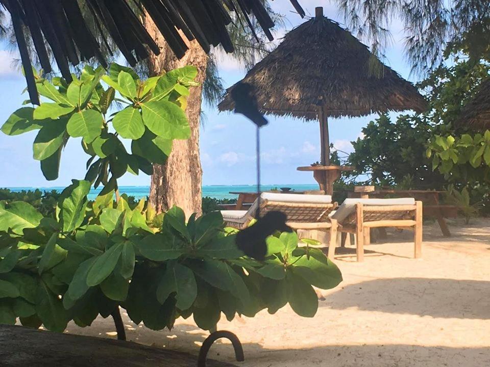 Driftwood Beach Lodge Jambiani  Exterior photo