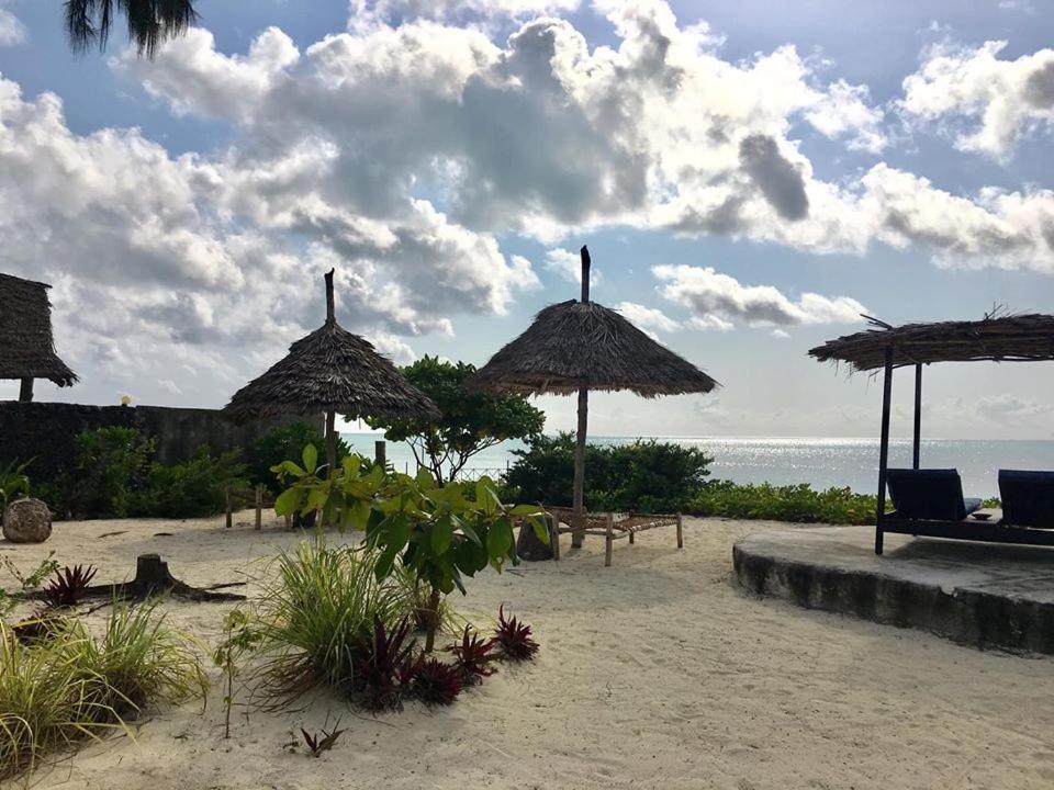 Driftwood Beach Lodge Jambiani  Exterior photo