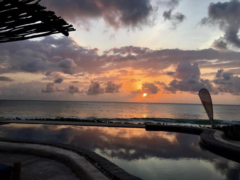 Driftwood Beach Lodge Jambiani  Exterior photo