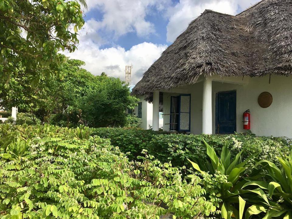 Driftwood Beach Lodge Jambiani  Exterior photo