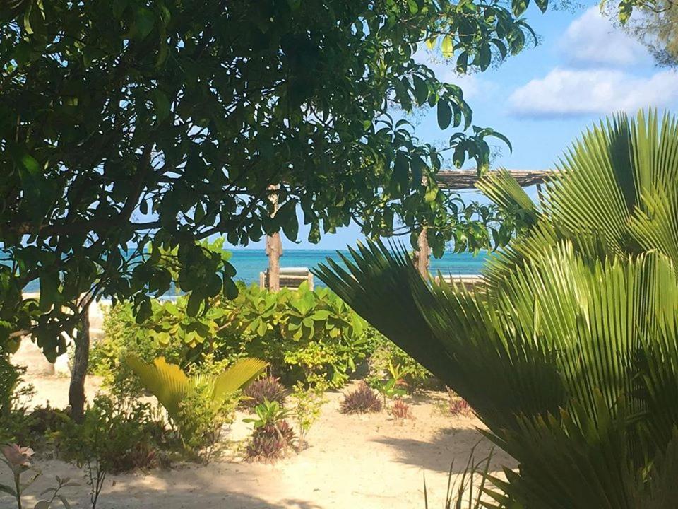 Driftwood Beach Lodge Jambiani  Exterior photo