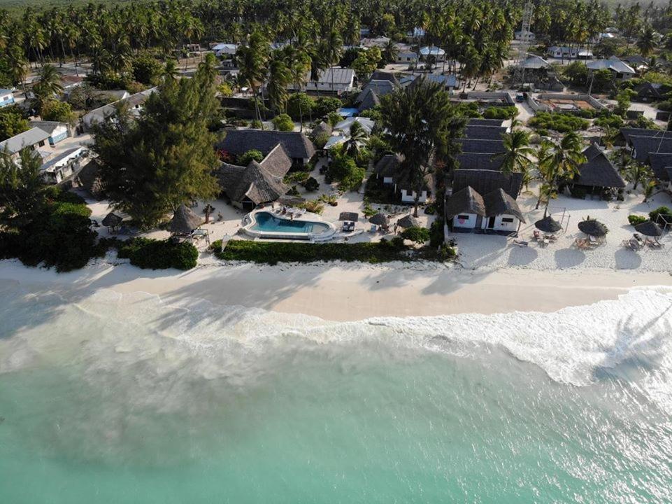 Driftwood Beach Lodge Jambiani  Exterior photo